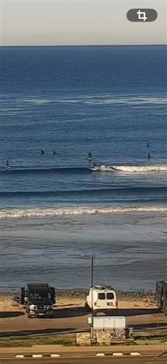 Fins to the Shore