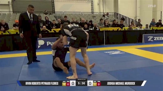 Joshua Michael Murdock vs Irvin Roberto Peynado Flores 2025 World IBJJF Jiu-Jitsu No-Gi Championship