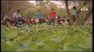 266K views · 10K reactions | "Dil Dil Pakistan," released by Vital Signs in 1987, isn’t just a song. It’s the pulse of every Pakistani. Its unforgettable melody and stirring lyrics have made it a lasting symbol of unity and pride. Even decades later, this anthem continues to ignite our passion for Pakistan, reminding us of the strength and beauty of our nation. | PTV Home Official | Facebook