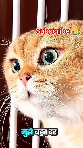 What happened if santa come to your window 😱 #shortvideos #trendingshorts #viral