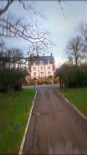 Mama ce beau chaton 🥰🙏🏼 Ça vous dis qu'on fasse un autre réel au drone cette fois on faisant le tour du château entièrement ?🔥 Dites-moi en commentaire👇🏽 #boiserie #pourtoi #viral #chateau