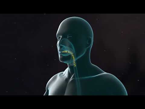 PCSK9 Inhibitors in Action