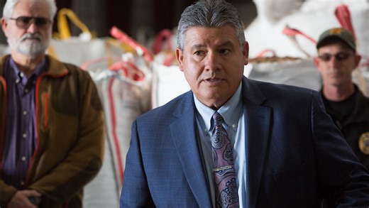 Pecan theft spikes as harvest gets underway