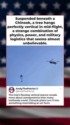 Chinook Helicopter Lifts a Tree Like It’s Art