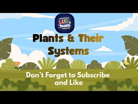 plant and their system