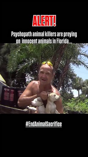 Innocent animals lives are on the line and we need your help today to keep up the fight for them. The torture of puppies and animals for animal sacrifice isn’t just happening in some far away country. No, it happens right here in Florida - where ARM is based, and right now, we are heading into one of the busiest times of the year where animals everywhere are at risk of being beheaded, mutilated, and burned alive. We need your help to keep up the fight against the evil madmen, animal traders and 
