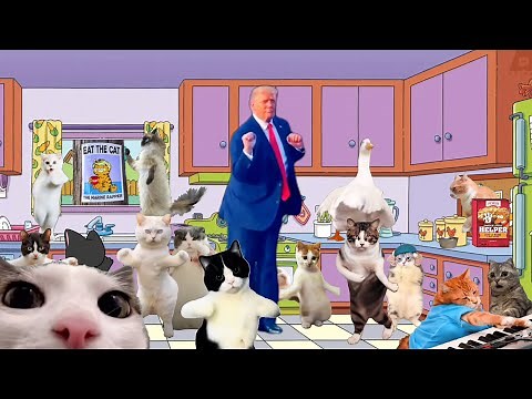 EAT THE CAT (OFFICIAL MUSIC VIDEO)
