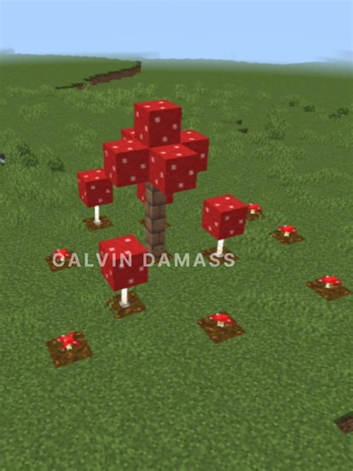 #minecraft #minecraftbuilds #minecraftbuildings #calvindamass