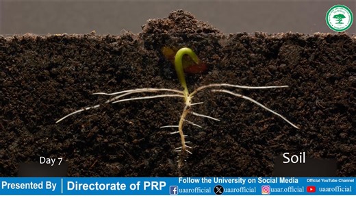3.5K views · 32 reactions | Institute of Soil & Environmental...