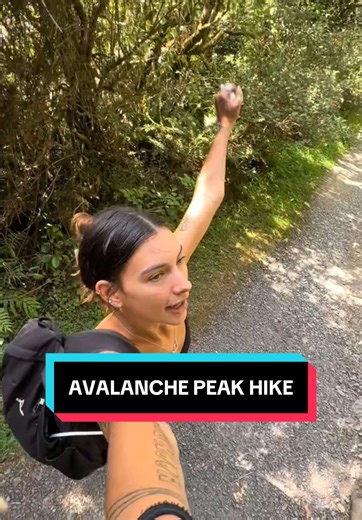 Hiking Avalanche Peak: A Rewarding Adventure