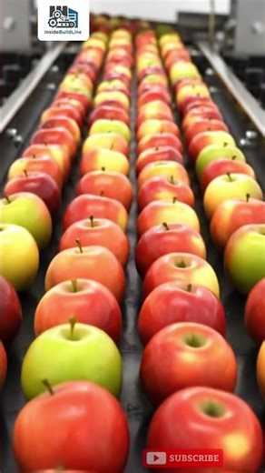 Inside a Modern Apple Factory | From Fresh Apples to Finished Products