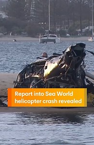 124K views · 295 reactions | The families of those killed during the 2023 Sea World helicopter tragedy have finally been given the answers they sought, as the report into crash was revealed. #helicoptercrash #seaworldhelicoptertragedy #helicopteraccident #helicopter #seaworld #goldcoast #sunriseon7 WATCH SUNRISE FOR MORE | @7plus ☀️ | Sunrise | Facebook