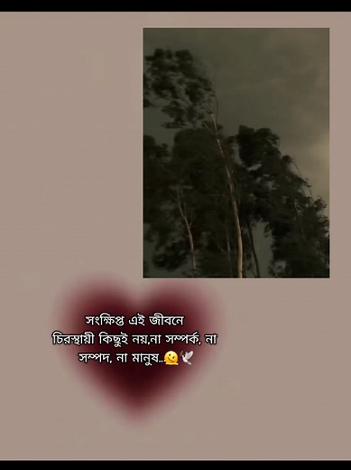 Crop video sky: short sad aesthetic crop video ideas