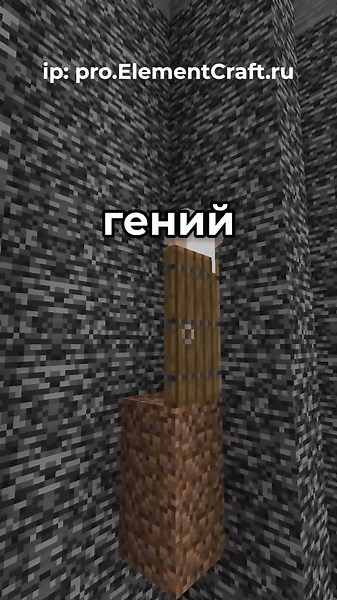It's Boris's Anniversary! ~ Elemental Server #minecraft