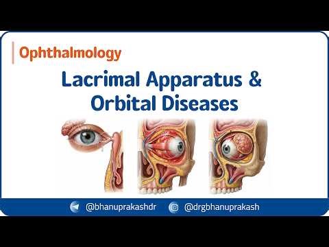22. Lacrimal Apparatus & Orbital Diseases 👁️ Dacryocystitis, Orbital Cellulitis