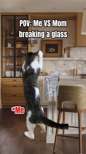 Why mom Why?🥲 #foryou #funny #funnycatches #memes #cat #shorts #viral #funniestvideo #funnymoment