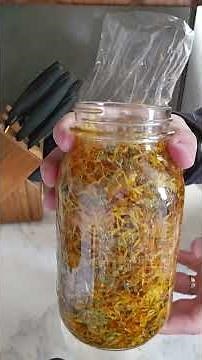 A must have for cuts and scrapes! Easy DIY calendula oil #homestead #garden #natural