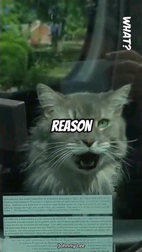 This Cat Emits Radiation Strong Enough to Evacuate the Entire Neighborhood