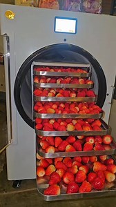 La liofilización elimina el agua, no el valor: sin conservantes, sin frío, sin pérdidas. 🧠 ¿Por qué liofilizar frutillas? Duran meses e incluso años, conservan sabor, color y nutrientes, se vuelven crujientes, atractivas y se transforman en un producto premium, rentable y fácil de transportar. No es fruta… es estrategia de negocio. 📲 Disponibles 🇧🇴 cinco-nueve-uno | siete-dos-dos | treinta-seis | uno-dos-cuatro . . . . . #Liofilización #FrutaPremium #NegocioRentable #FoodTech #EmprendeConVal