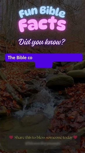 Why Is the Church Called the Bride of Christ?