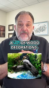 23K views · 297 reactions | Why Your Aquarium Water’s Still Yellow If your aquarium water has changed color, it might be from new wood decorations. Some wood releases tannins that turn the water brown. Adding garden soil can also change the water color. Usually, natural things cause the tint, not plastic or the filter. Follow for more tips on how to maintain clear and healthy aquarium water. #AquariumMaintenance #WaterColorChange #AquariumDecorations | DrTims Aquatics | Facebook