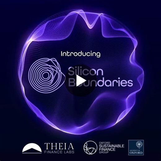 #siliconboundaries #planetaryboundaries #siliconboundaries | Ben Caldecott