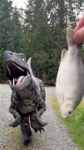 Realistic Dinosaur Feeding Fun with Clever Raptor Costume