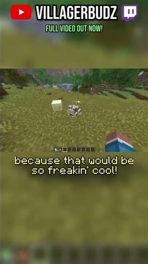 Minecraft NEEDS to add this!
