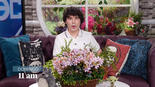 [AVANCE] ¡ALERTA DIGITAL! 📱 Las restricciones a redes sociales y smartphones en menores ya son una realidad en el mundo 🌍 Además, conoceremos los secretos de los controvertidos bots de internet 🤖 Descubre todo lo que debes saber en TEC 📺 Este domingo a las 11:00 a.m. | América Televisión