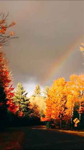 Н и к а on TikTok