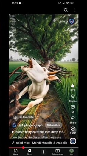 2026🪄💫🪄NEW MAGIC tricks,💫🪄💫❤️#viralvideo #magic #magictricks#catton