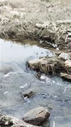 🎉yah bahut khubsurat jagah hai🏞️ block short video viral video