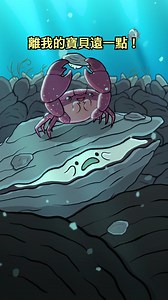 337K views · 5.3K reactions | 羊鯛（Archosargus probatocephalus） 醴 對牡蠣有益處，因為他們會吃小石頭蟹，讓牡蠣寶寶免於受到小螃蟹的傷害，雖然有時候他們也會把牡蠣寶寶吃掉。 #動畫 #台語 | 軟Q魚 | Facebook