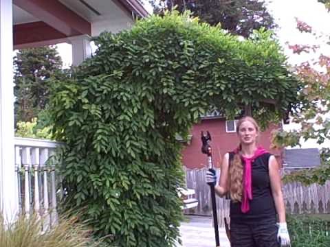 Fiskars Pruning Stik