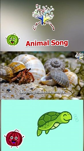 Tide Pool Animal Sounds! ⭐🦀 | Starfish, Hermit Crab & Ocean Rock Pool Song for Kids