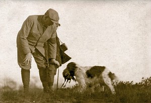 2019 Special Exhibition: The English Springer Spaniel on Fishers Island