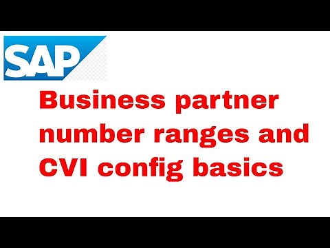 SAP MDG BP Number ranges and CVI config basics