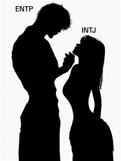 Understanding INTJ and ENTP Personalities