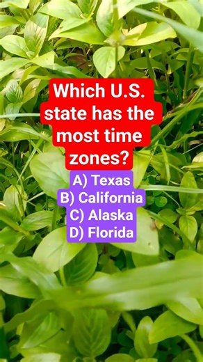 Which U.S. state has the most time zones?