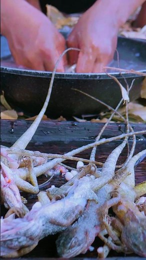 Crispy and Flavorful: Your Ultimate Guide to Perfect Lizard Recipes!