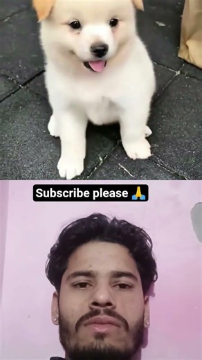 asali chehra chupate Hai 😲😲 #shorts #reaction