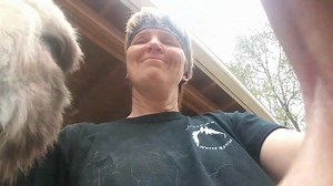 Daily Dose of Donkeyness Getting chores finished in a timely manner is extra difficult in the senior barn. They were extra cuddly today!! Once this lock down is over, you too will be able to be mobbed by these cuties! | Little Longears Miniature Donkey Rescue