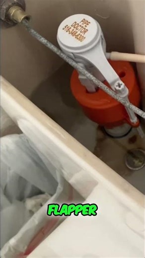 Plumber's Shock: Customer's $9 Flapper vs. Toto! #shorts