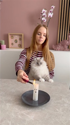 I TRIED The VIRAL Flying GHOST Trick With My CAT 🙀