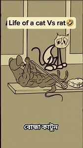 885K views · 8K reactions | Life of a cat vs rat .藍藍#fbreels #viralreels #memes #reels #animation #trending #funny | বোন্ধা কাটুন | Facebook