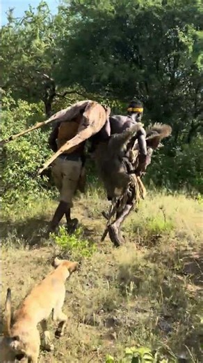 Hadzabe Tribal Hunt: Tracking, Chasing, and Catching an Antelope in the Forest