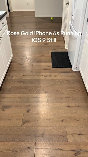 Rose Gold iPhone 6s Still running iOS 9.3.3! #iphone #phone #apple #iphone14 #iphone6 #iphone6s #rosegold #pink #ios9 #2015 #2016 #nostalgia #apple #fyp #foryou