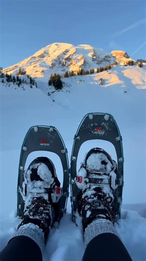 Lauren Charbonneau on Instagram: "Did you know that📍Paradise, Mount Rainier is one of the snowiest place in the USA?! It is closely followed by Mount Baker, another Washington State Stratovolcano 🌨️🎿🏔️ ↘️ Follow @lauren_see for more Pacific Northwest bucketlist hikes! 📌 Mount Rainier National Park Winter Guide! ⚠️ Mount Rainier has different hours of operation during the winter months! Most of the park entrances are closed. Access the park through the📍Nisqually Entrance located in Ashford,