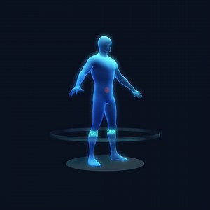 Human Body Scan