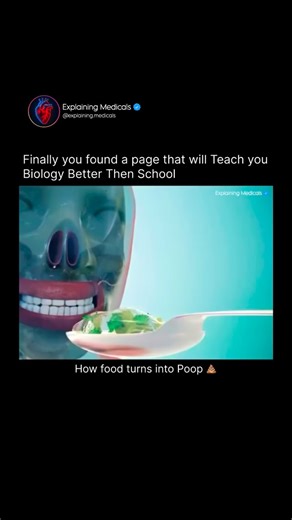 Medical | Health | Anatomy | Food turns into poop through a long digestive journey where the body breaks it down, absorbs nutrients, and sends the leftover waste to the... | Instagram